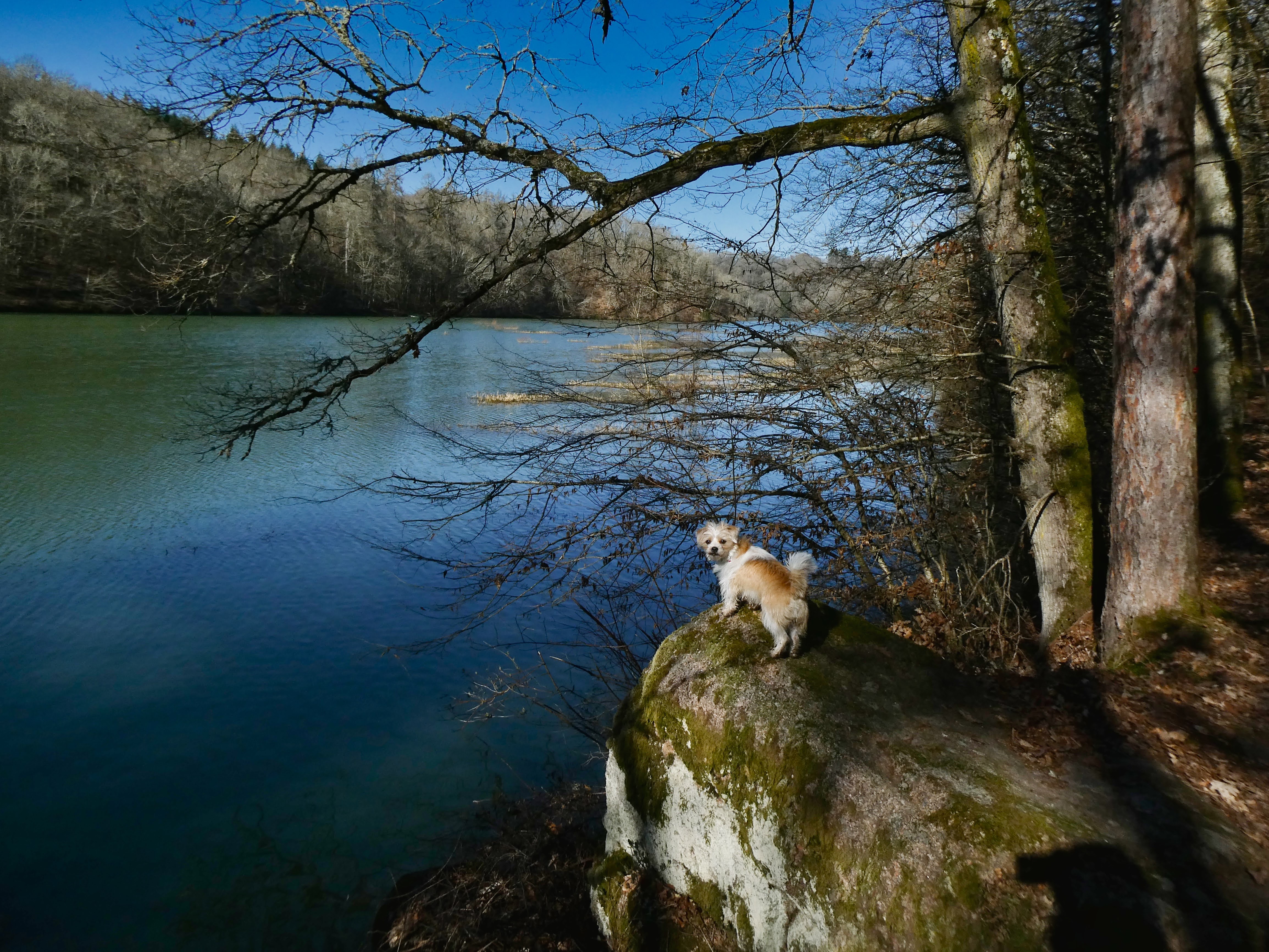 photo du Lac de Pont